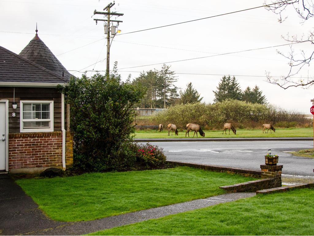 Ecola Creek Lodge Cannon Beach Exteriör bild